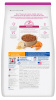 Science Diet Puppy Small & Mini